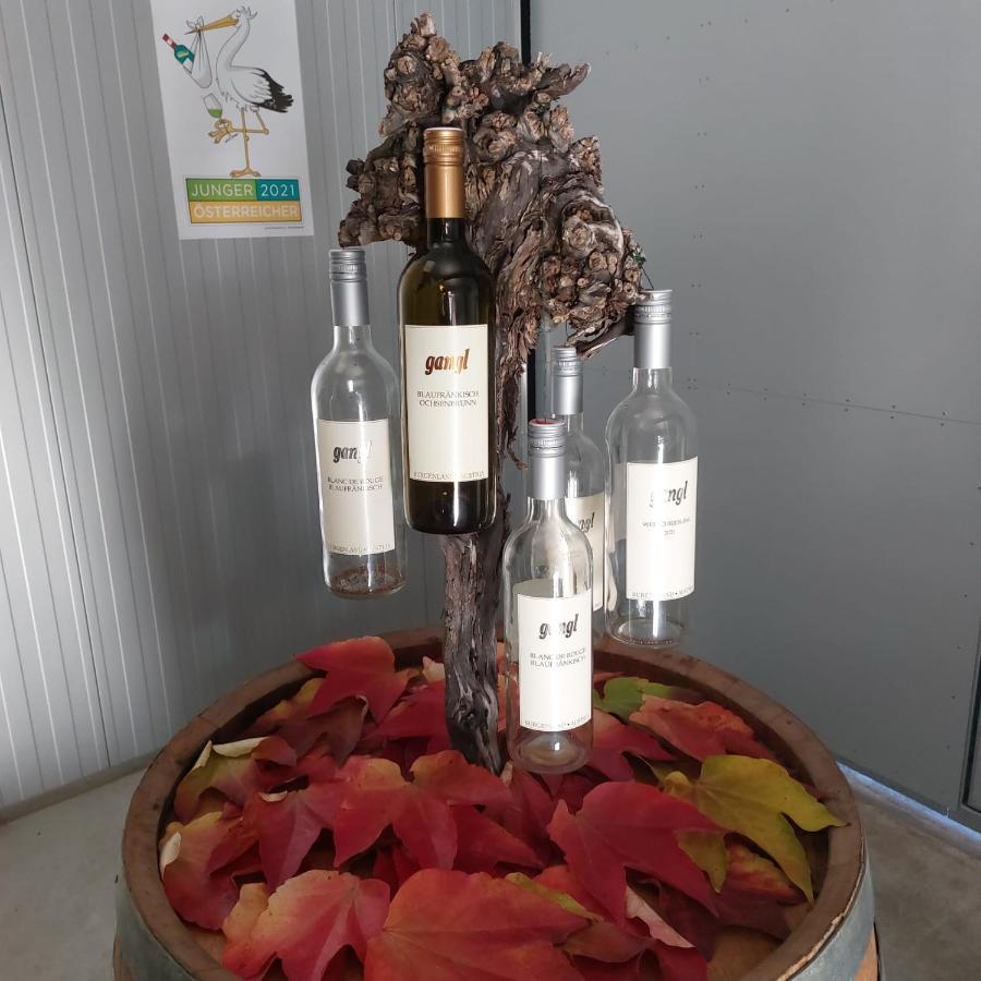 Weingut Apartment Hildegard Gangl Illmitz Exteriér fotografie